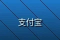支持支付宝在线支付